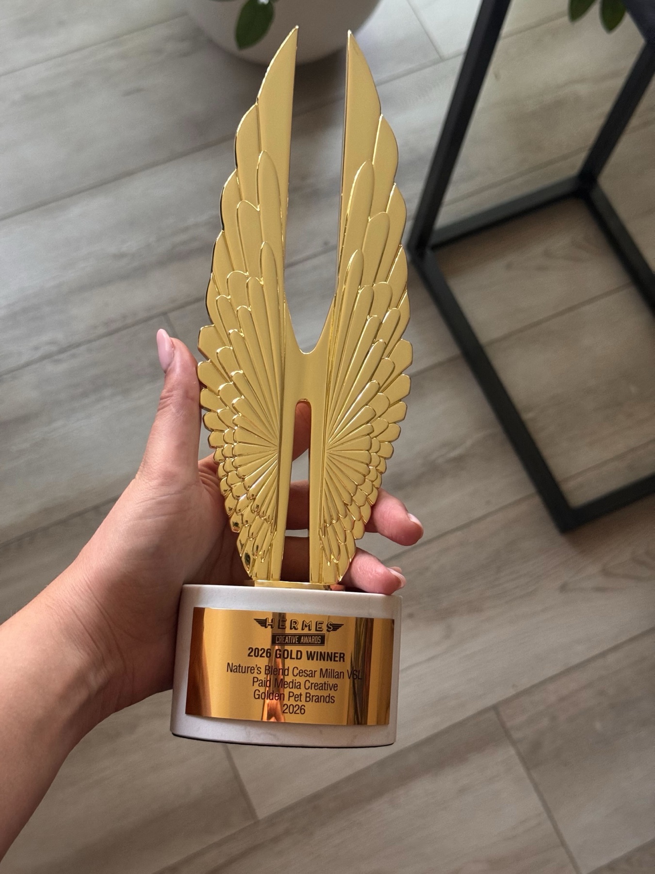 The 2026 Hermes Creative Awards Gold trophy for Dr. Marty Pets