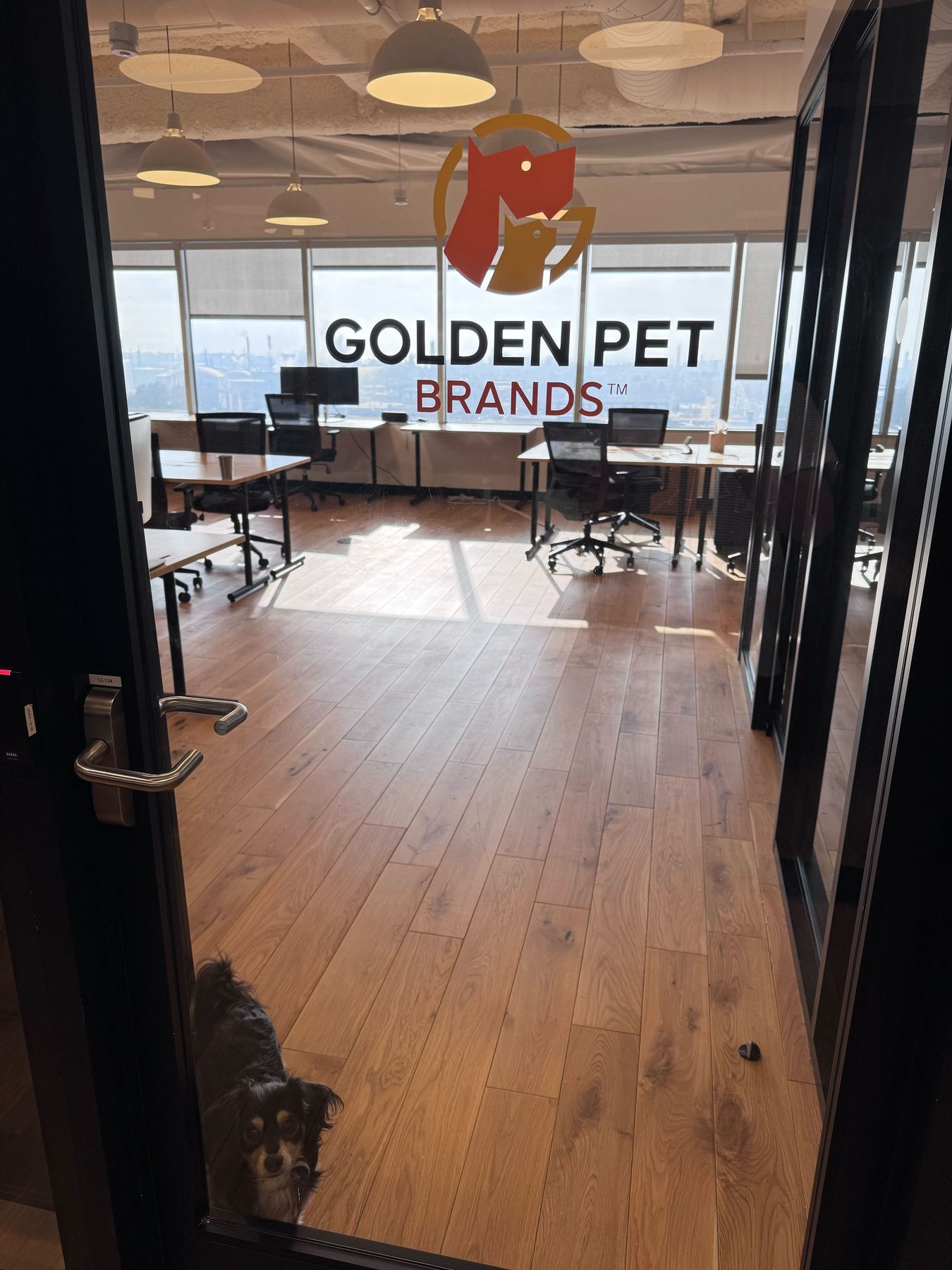 The Golden Pet Brands office entrance with the logo on the glass door and a dog waiting