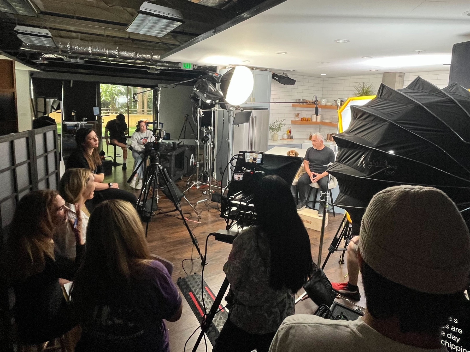 Dr. Marty Goldstein being filmed by the Golden Pet Brands content production team