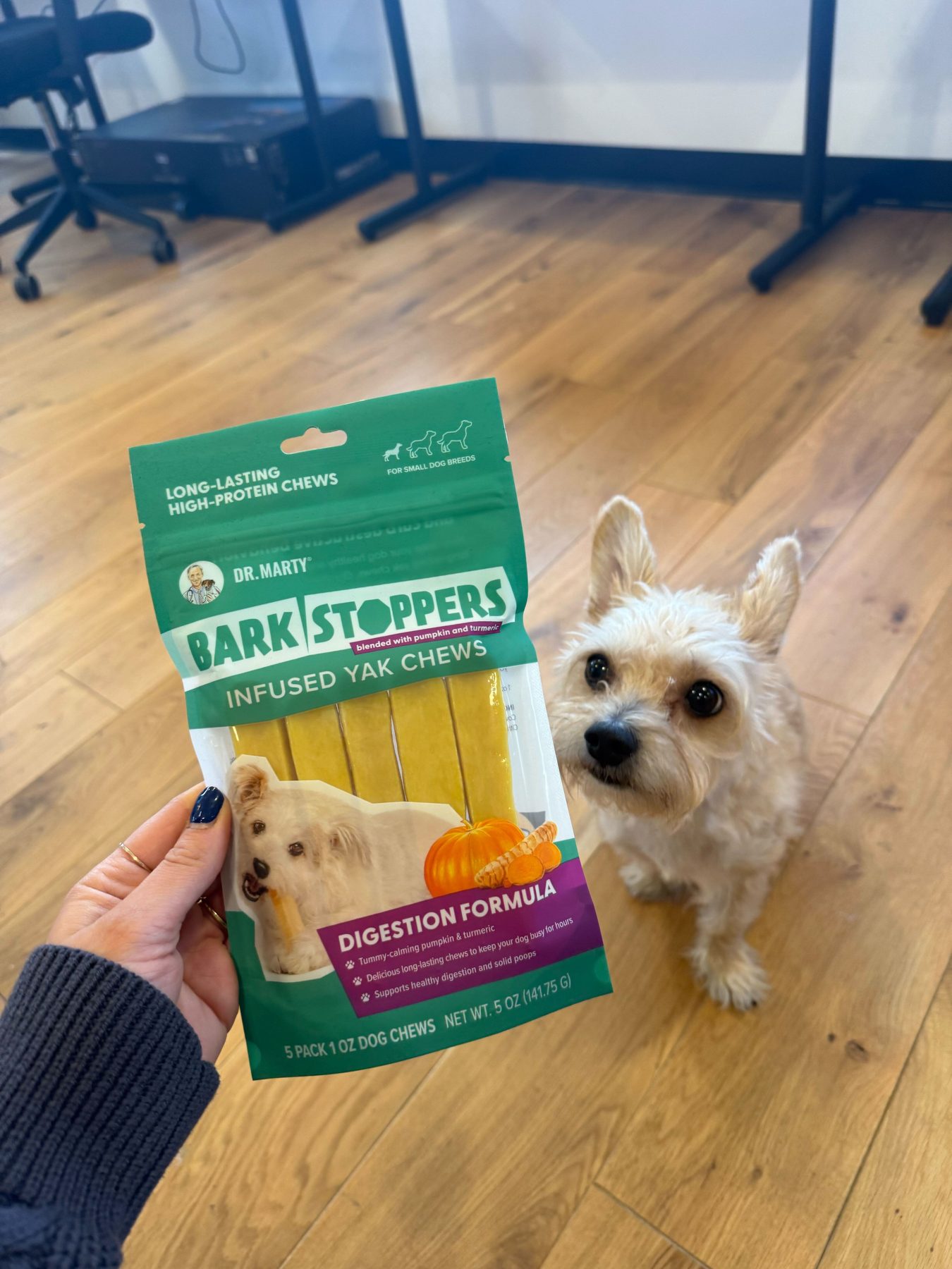A dog looking up at a bag of Dr. Marty Bark Stoppers yak chews in the office