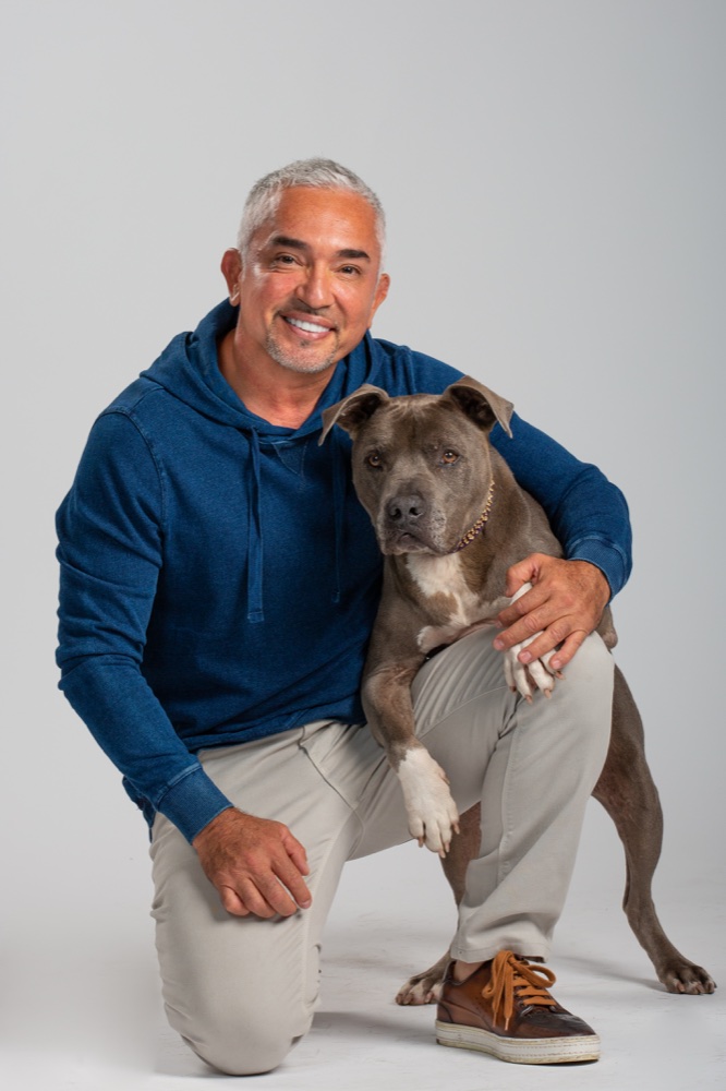 Cesar Millan, Brand Champion for Dr. Marty Pets
